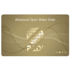 PADI-Advanced-Openwater-Diver-Course-Melbourne