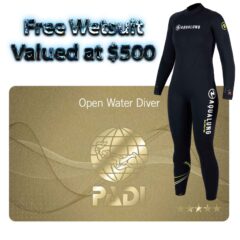 PADI Open Water Diver Course - Free Wetsuit