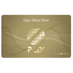 PADI-Openwater Diver-Course-Melbourne