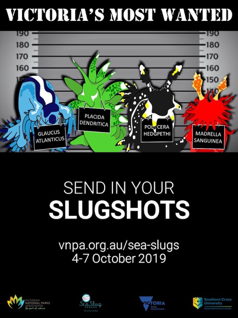 WE WANT YOUR SLUG SHOTS Oct19