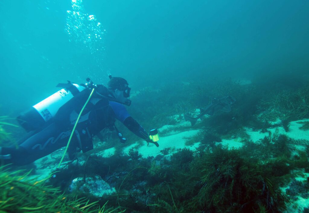 SMITHS-BEACH-DIVE-SITE