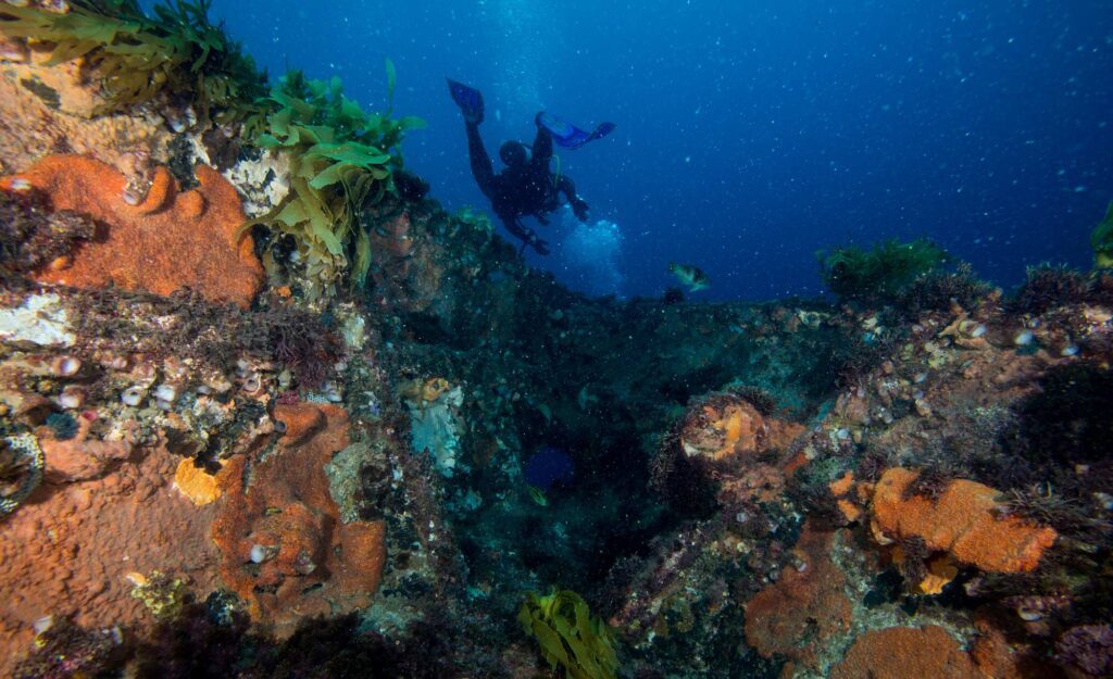 Wreck-Diving-Melbourne-HMAS-CANBERRA