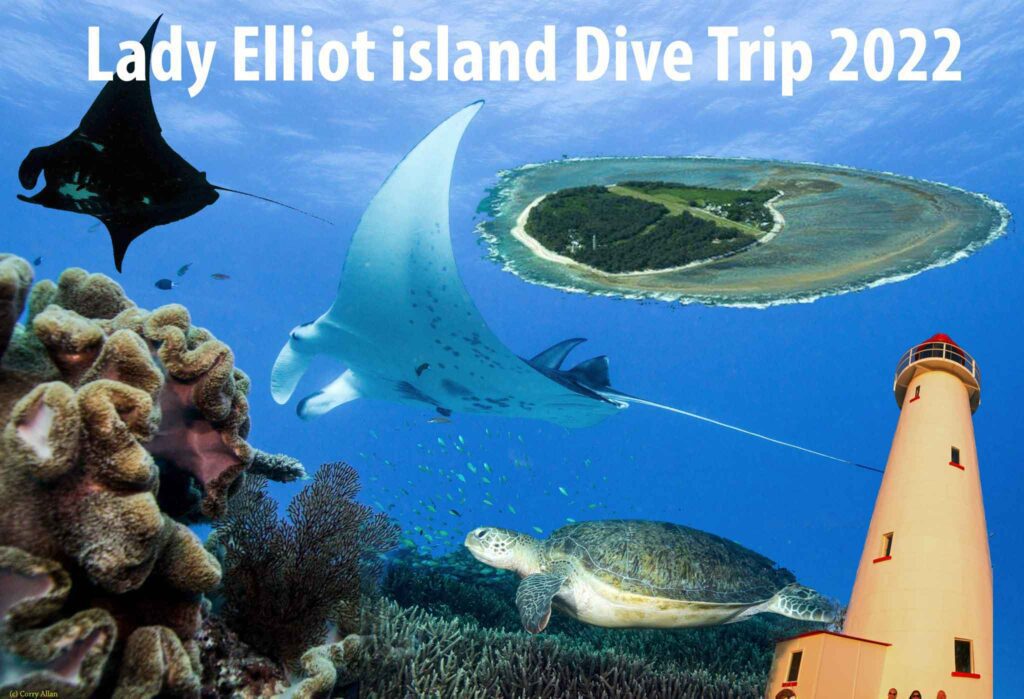 Lady-elliot-island-dive-trip-dive-gear-australia-2022