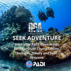 PADI Openwater Referral Dive Course
