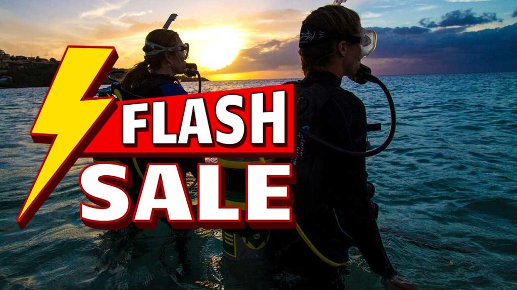 Flash Sale