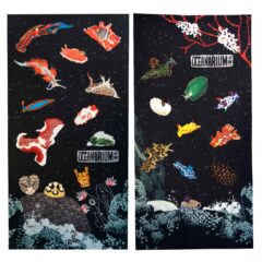 Oceanarium Nudibranch II Headwear Scarf