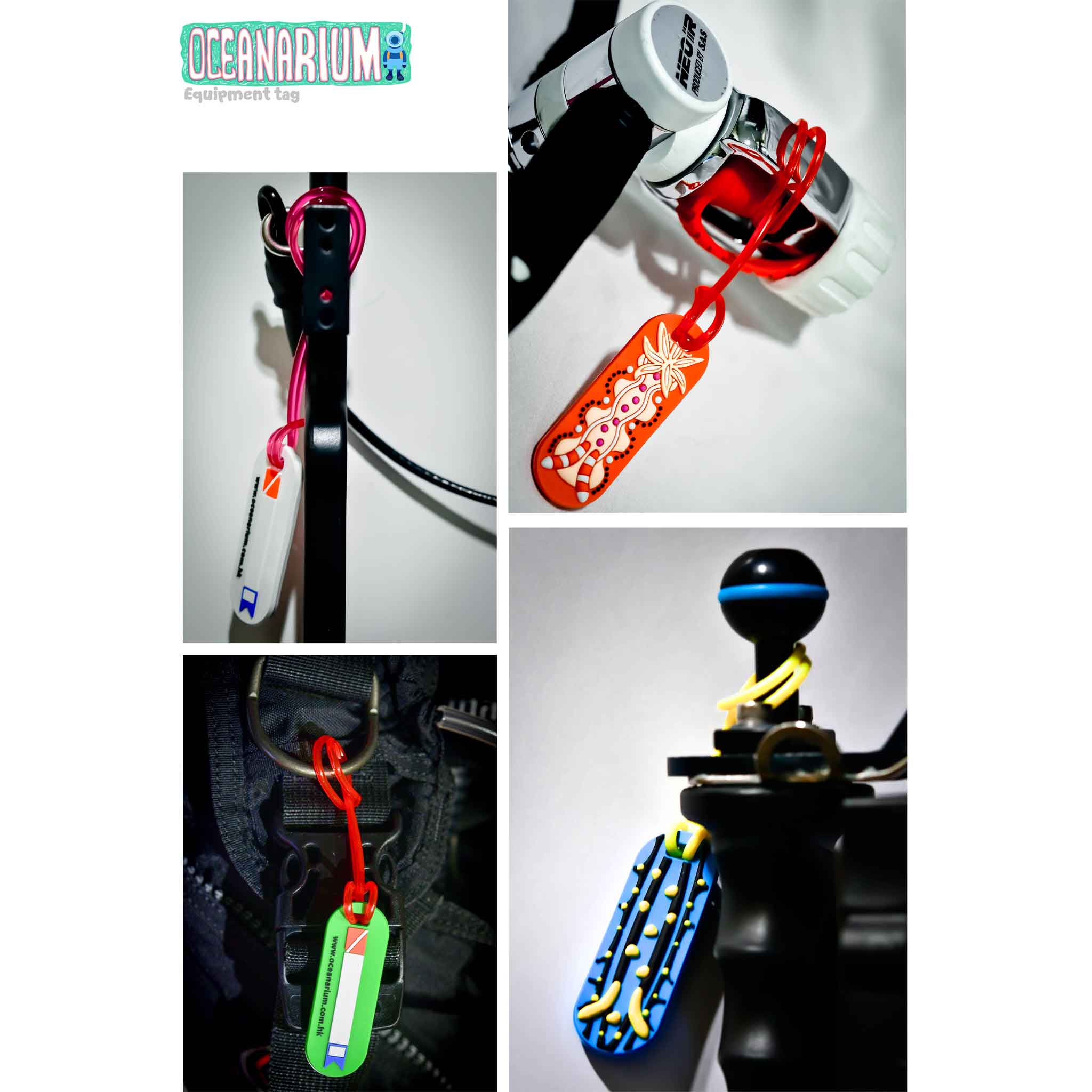 Oceanarium Nudibranch Luggage Tag