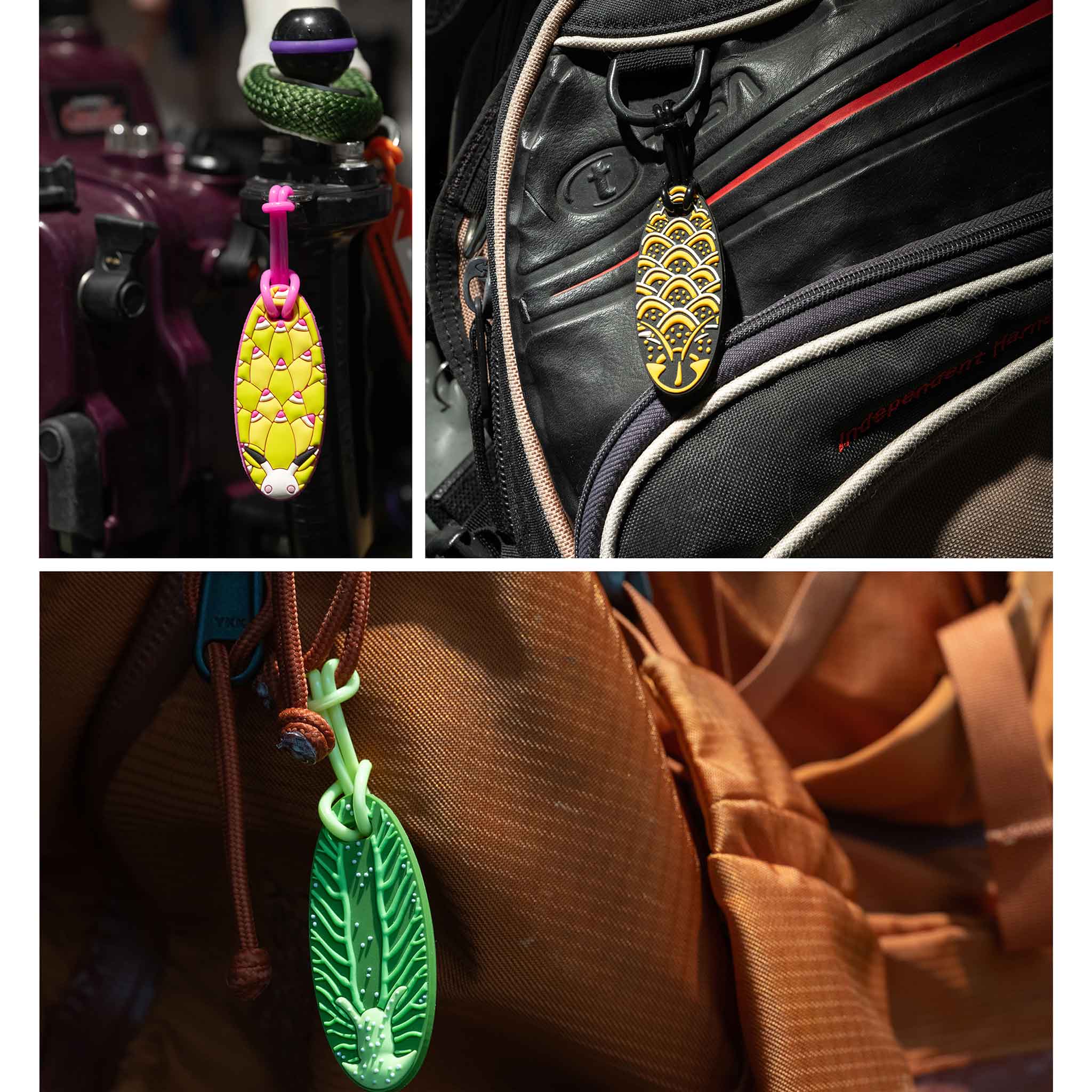 Oceanarium Seaslug Gear Tag