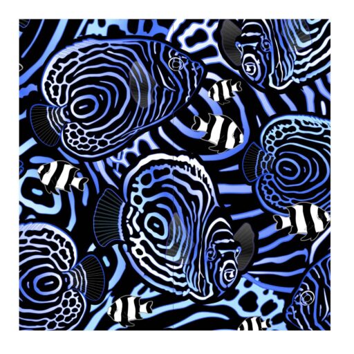 Spacefish Army Angelfish Hypnosis
